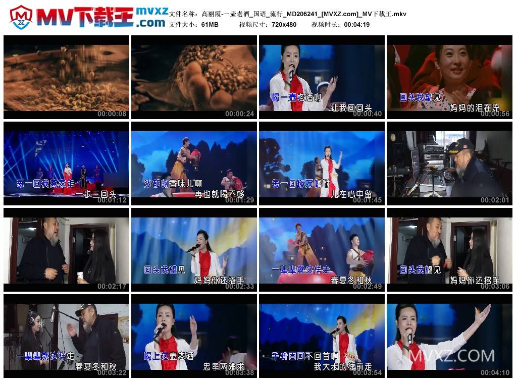 高丽霞-一壶老酒_国语_流行_MD206241